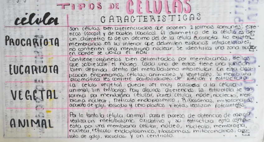 Miniatura del documento Tipos-de-celulas.pdf