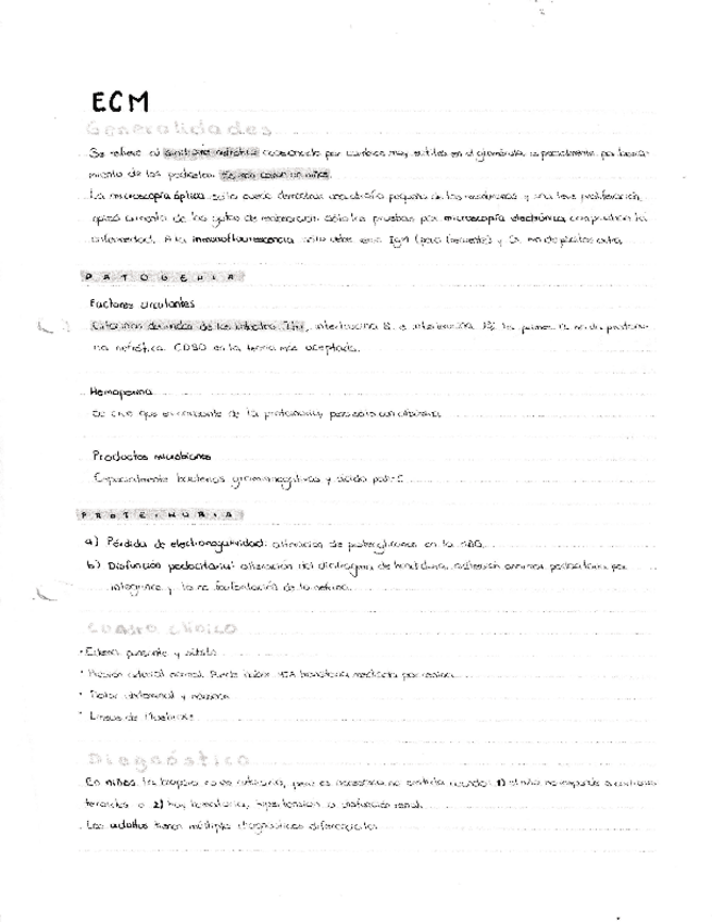 Miniatura del documento Glomerulopatias-primarias-y-secundarias.pdf