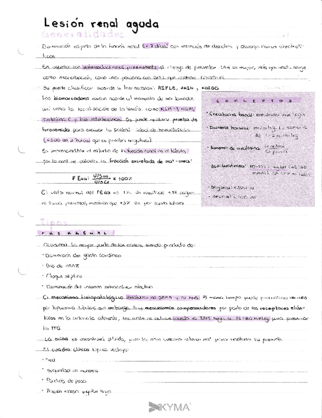 Miniatura del documento Causas-de-Lesion-Renal-Aguda.pdf