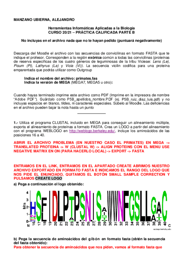 Miniatura del documento EXAMEN-B-POR-PASOS.pdf