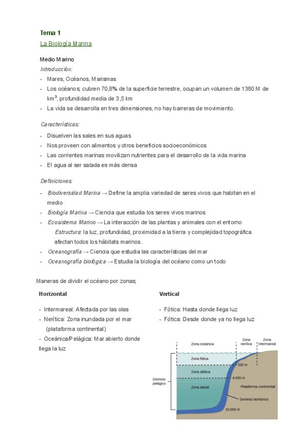 Miniatura del documento BMMT1LaBiologiaMarina.pdf