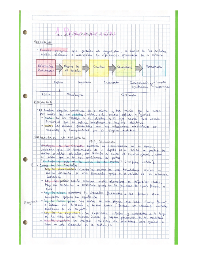 Miniatura del documento Tema-1-Percepcion.pdf