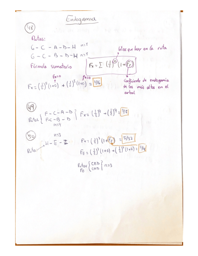 Miniatura del documento Endogamia.pdf