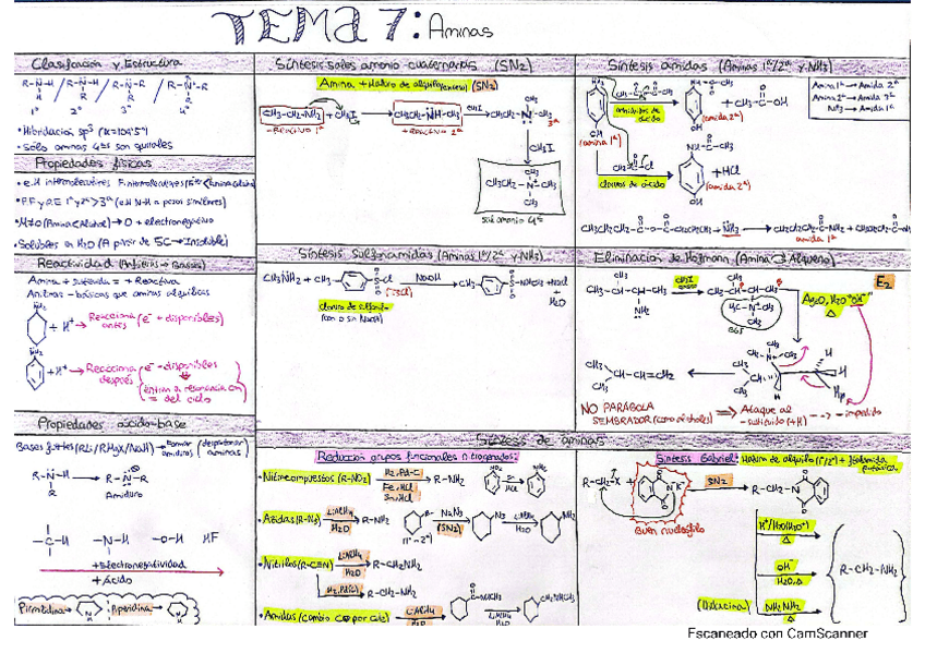Miniatura del documento tema-7.pdf