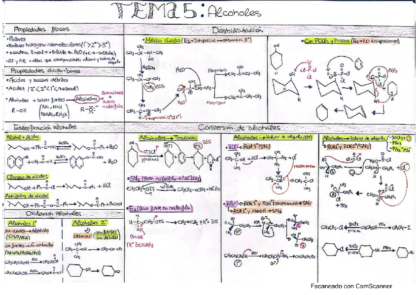 Miniatura del documento tema-5.pdf