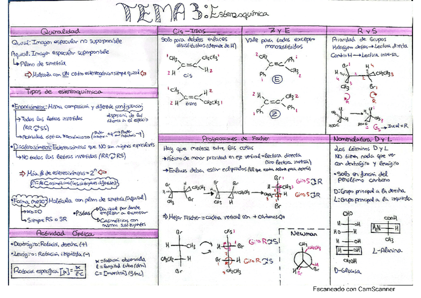 Miniatura del documento tema-3.pdf