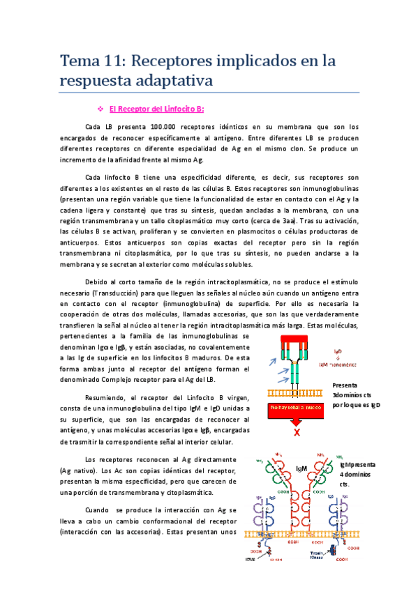 Miniatura del documento Tema 11-.pdf