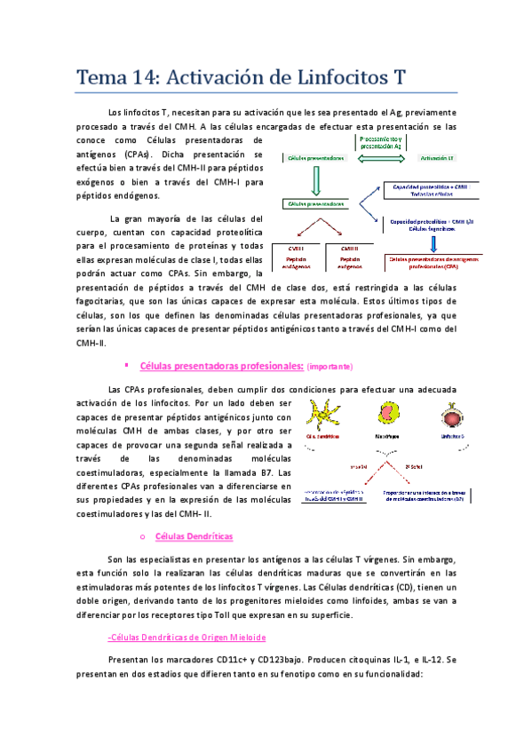 Miniatura del documento Tema 14-.pdf