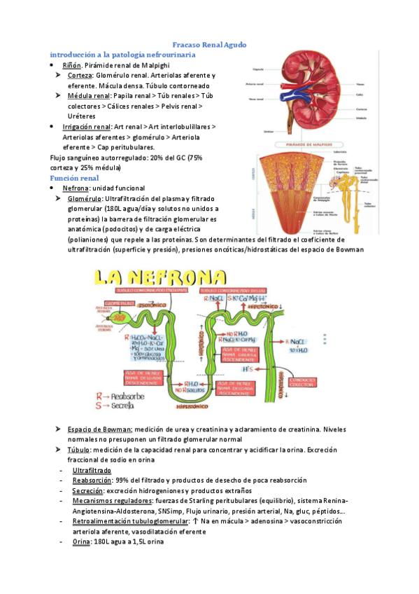 Miniatura del documento Tema-4-Urgencias.pdf