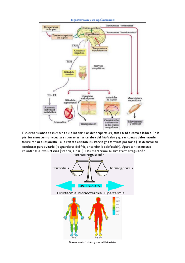 Miniatura del documento Tema-7-Urgencias.pdf