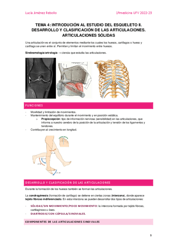 Miniatura del documento Tema 4 - Introducción al estudio del esqueleto II. Desarrollo y clasificación de las articulaciones. Articulaciones sólidas.pdf