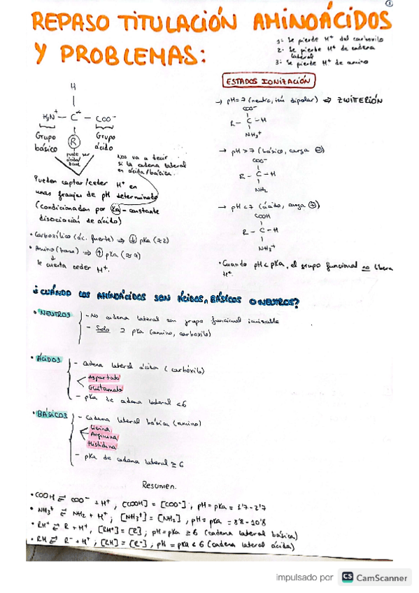 Miniatura del documento Repaso titulación aminoácidos y problemas.pdf