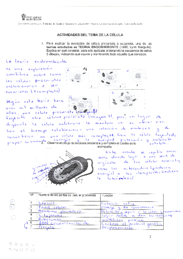 Miniatura del documento ejercicios-tema-2.pdf