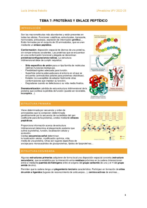 Miniatura del documento Tema 7 - Proteínas y enlace peptídico.pdf