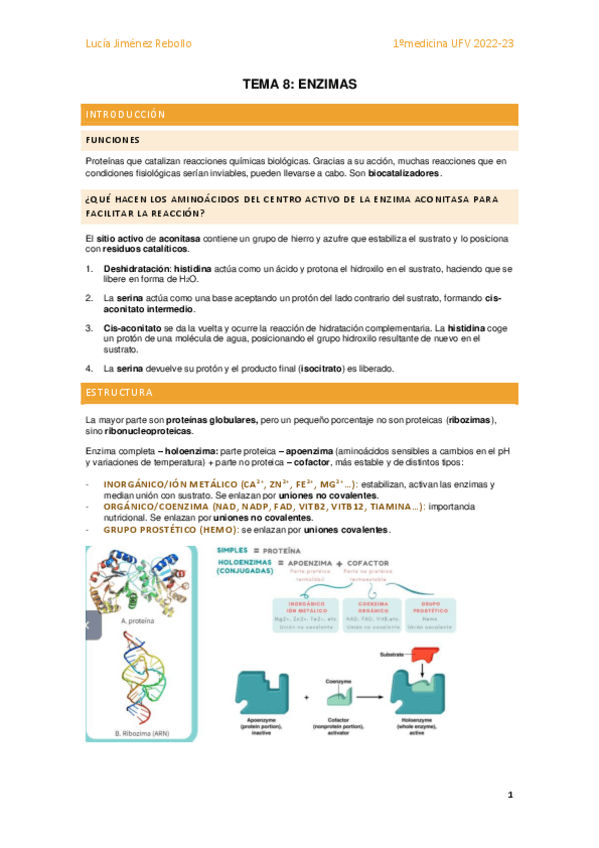 Miniatura del documento Tema 8 - Enzimas.pdf