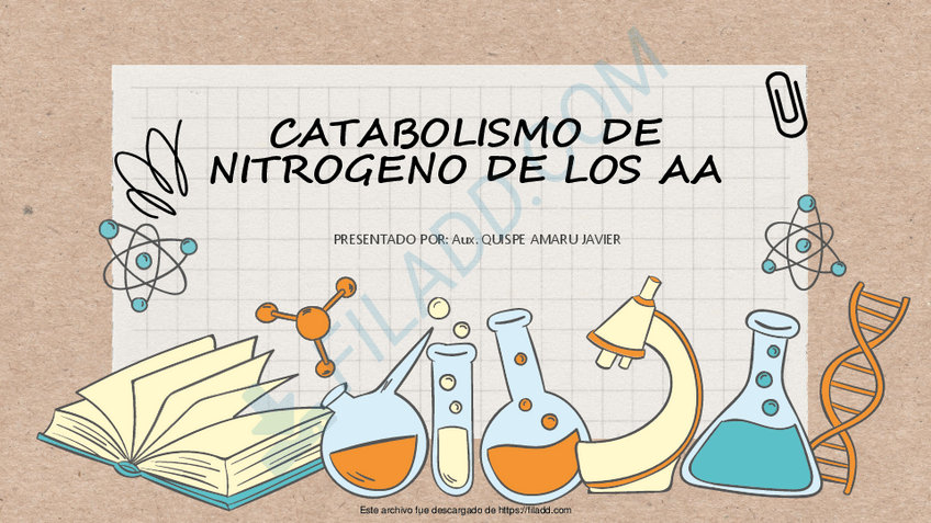 Miniatura del documento CATABOLISMO-DE-N-pdf.pdf