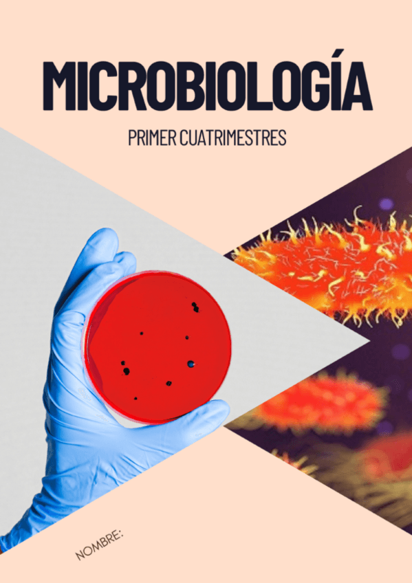 Miniatura del documento MICROBIOLOGIA-COMPLETO.pdf