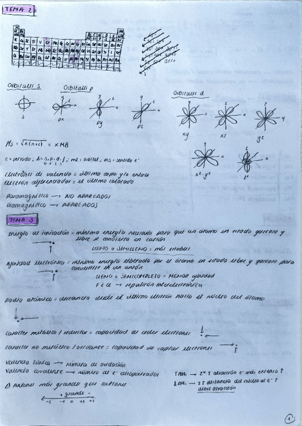 Miniatura del documento LO ESENCIAL de la asignatura.pdf