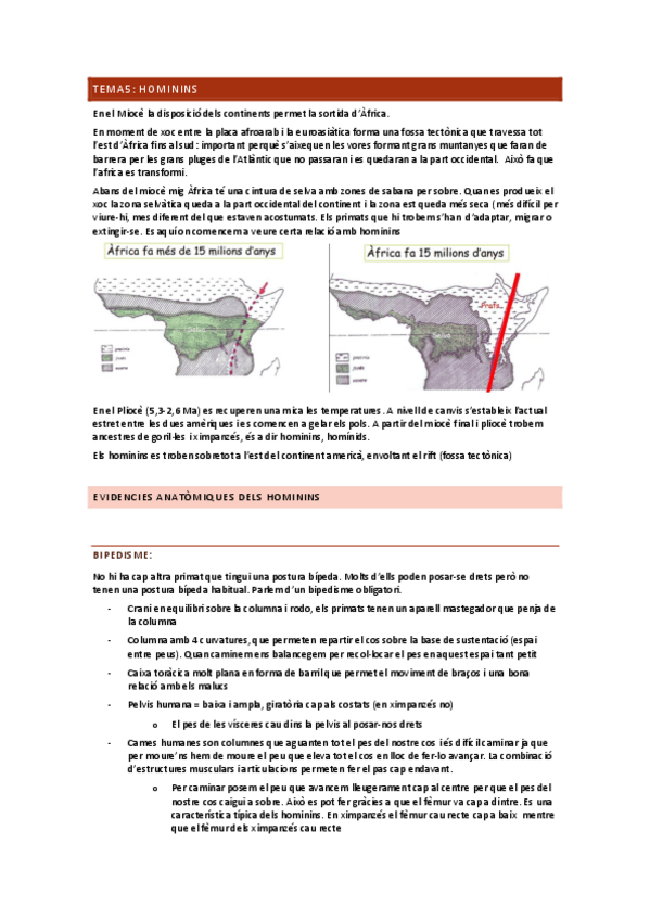 Miniatura del documento ARDIPITHECUS.pdf