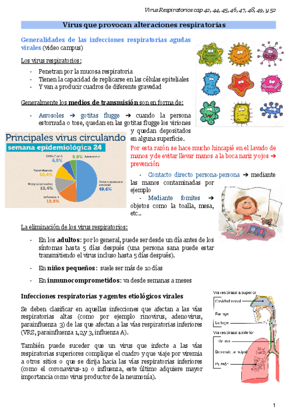 Miniatura del documento Virus-respiratorios.pdf