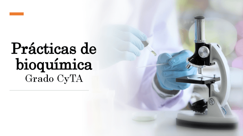 Miniatura del documento Cuaderno-practicas-BQ.pdf