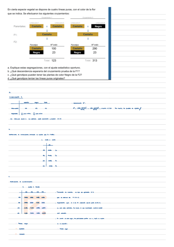 Miniatura del documento Problema-epistasia.pdf