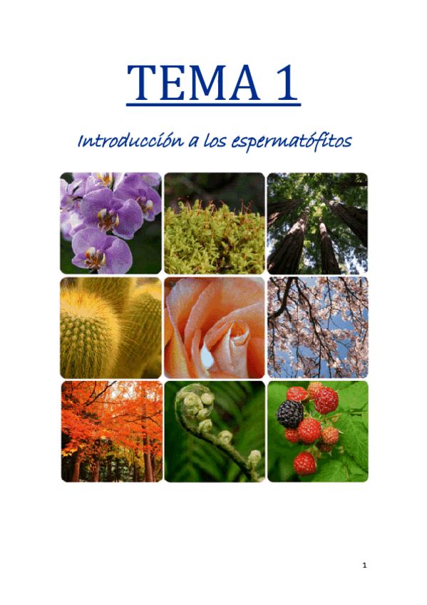 Miniatura del documento TEMA-1-Introduccion-a-los-espermatofitos.pdf