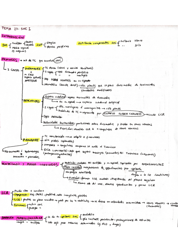 Miniatura del documento BH-Temas-27-28-y-29-SNC-y-SNP.pdf