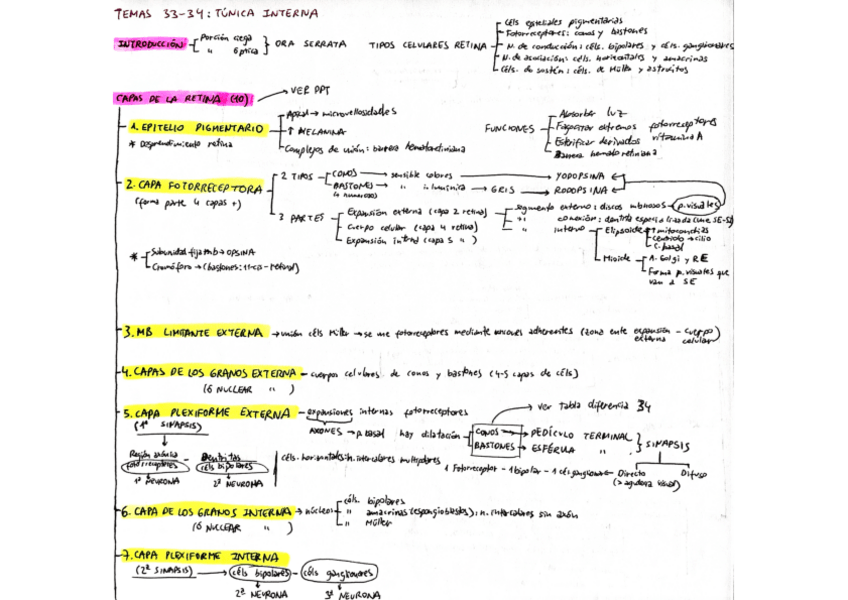 Miniatura del documento BH-Temas-33-y-34-Tunica-interna.pdf