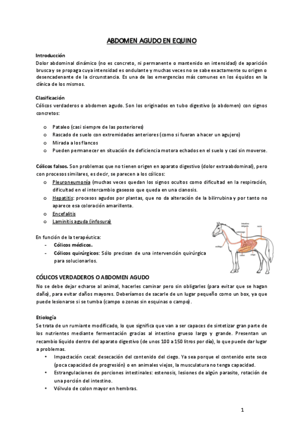Miniatura del documento COLICO-EQUINO.pdf
