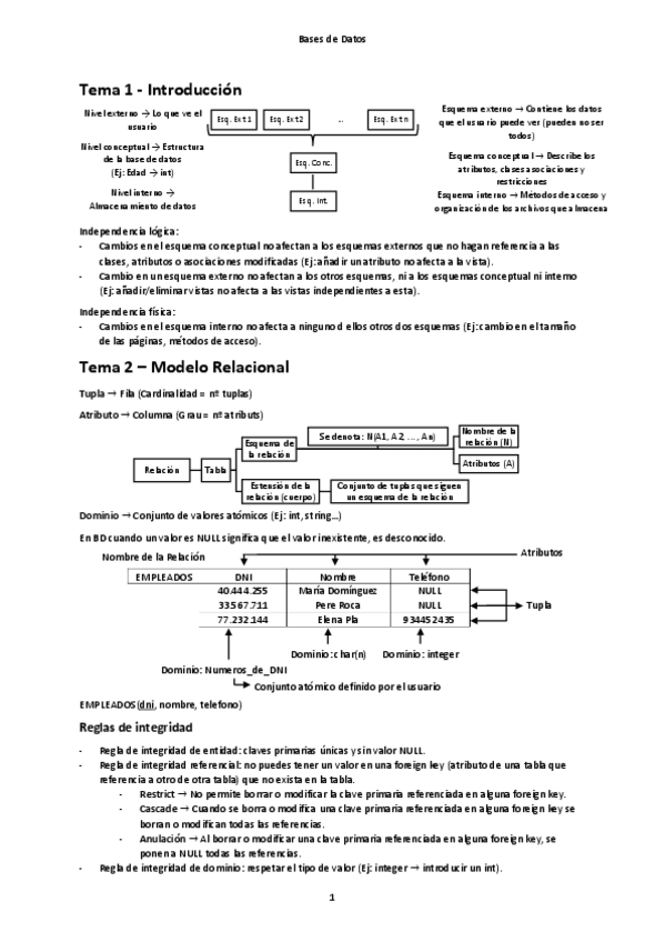 Miniatura del documento Resum-BD.pdf