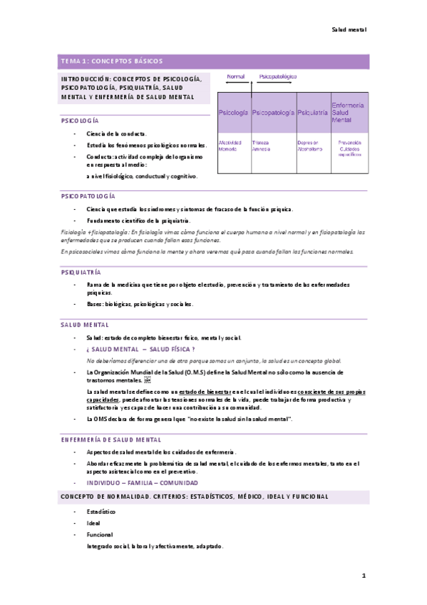 Miniatura del documento Salud-mental.pdf