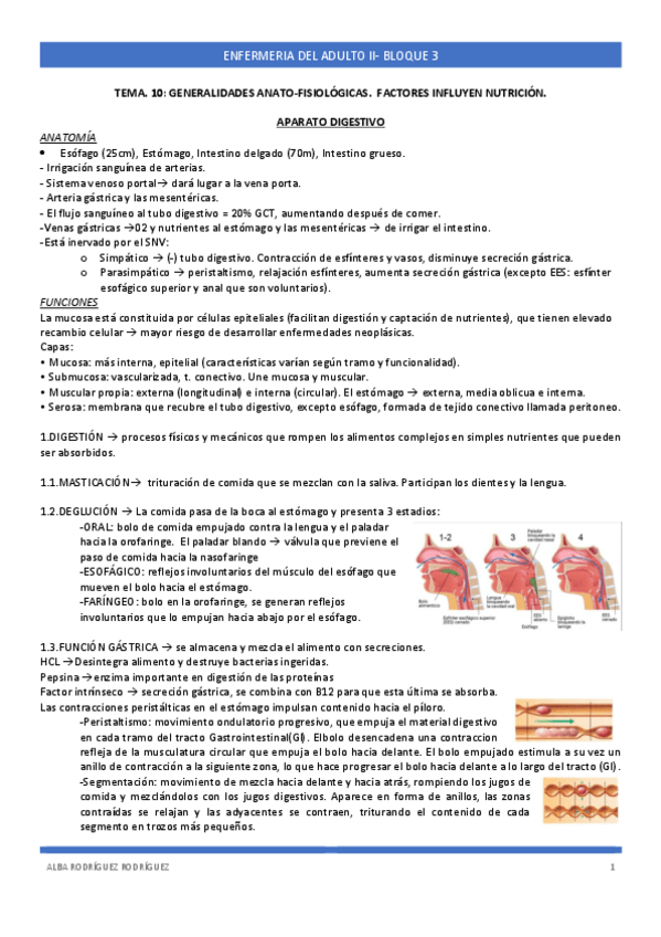 Miniatura del documento TEMA-10-ADULTO.pdf