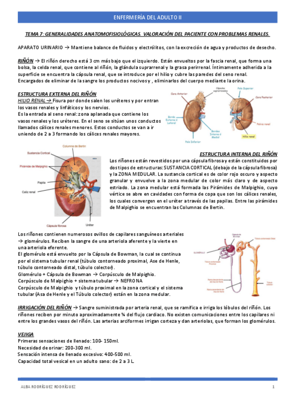 Miniatura del documento TEMA-7-ADULTO.pdf