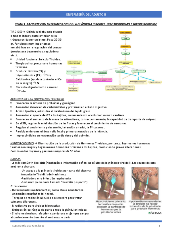 Miniatura del documento TEMA-3-ADULTO.pdf