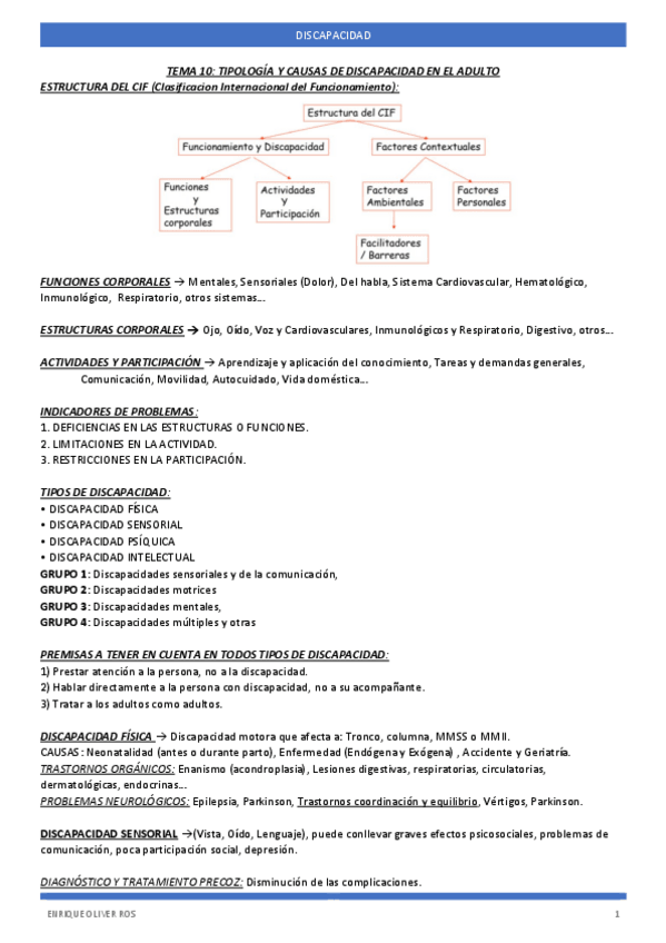 Miniatura del documento Tema-10-DISCAPACIDAD.pdf
