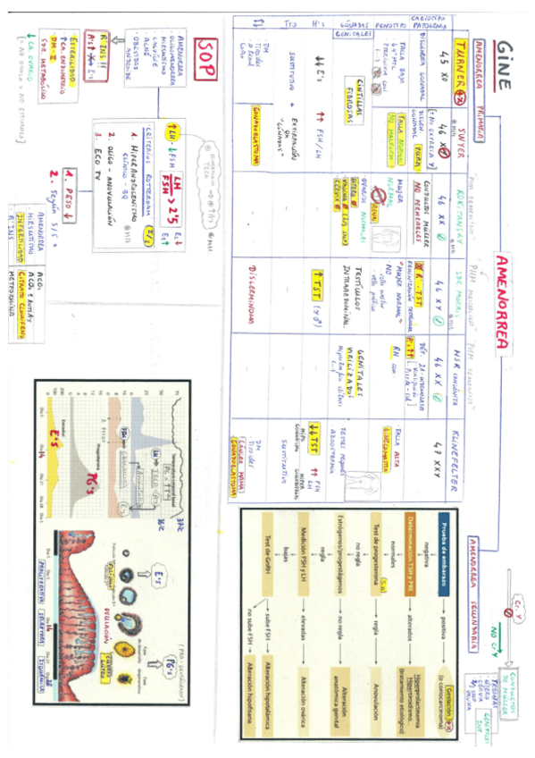 Miniatura del documento Ginecología.pdf