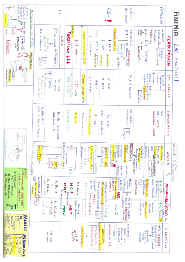 Miniatura del documento Hematología.pdf