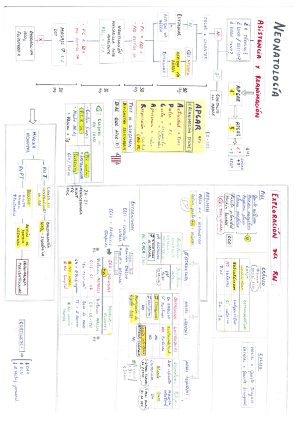 Miniatura del documento Pediatría.pdf