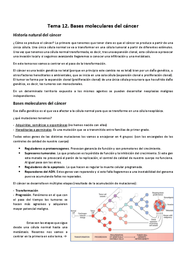 Miniatura del documento Tema 12 APatológica.pdf