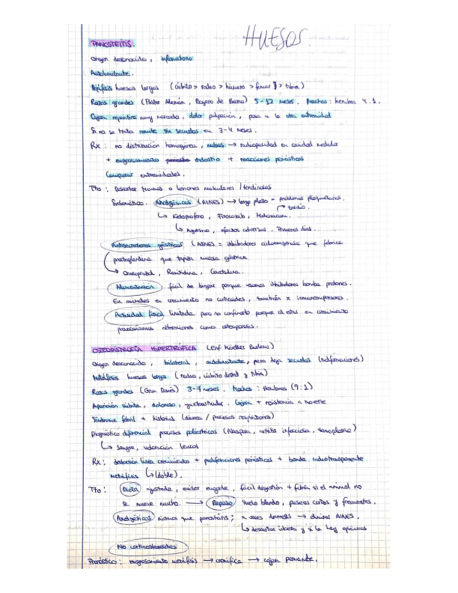 Miniatura del documento Huesos-y-musculos-esquema.pdf