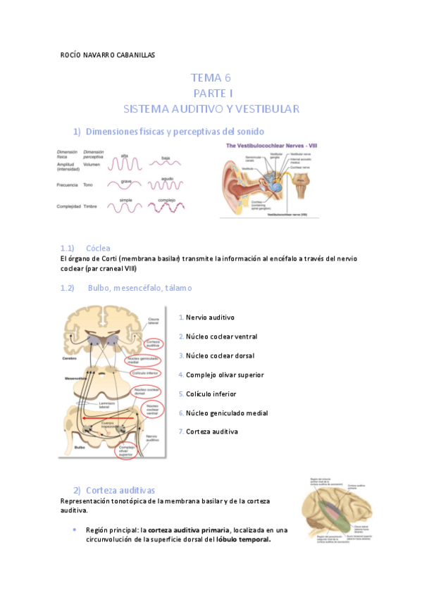 Miniatura del documento Apuntes-tema-6.pdf