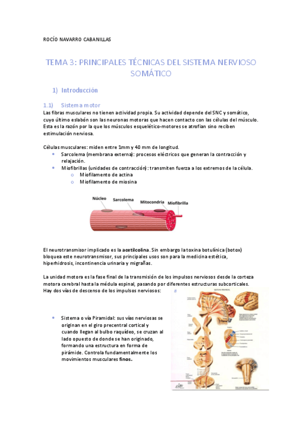 Miniatura del documento apuntes-tema-3.pdf