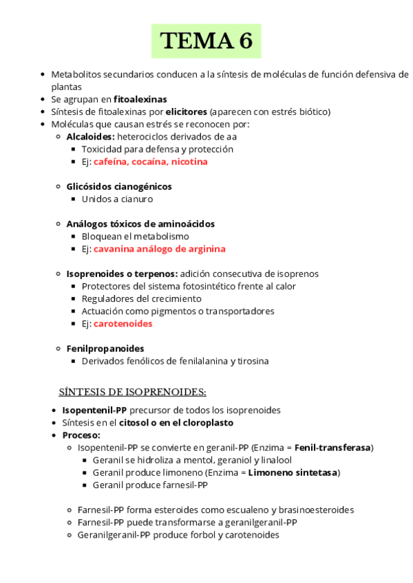 Miniatura del documento TEMA-6-Esquema-Vegetal.pdf