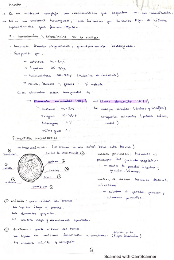 Miniatura del documento Maderas.pdf