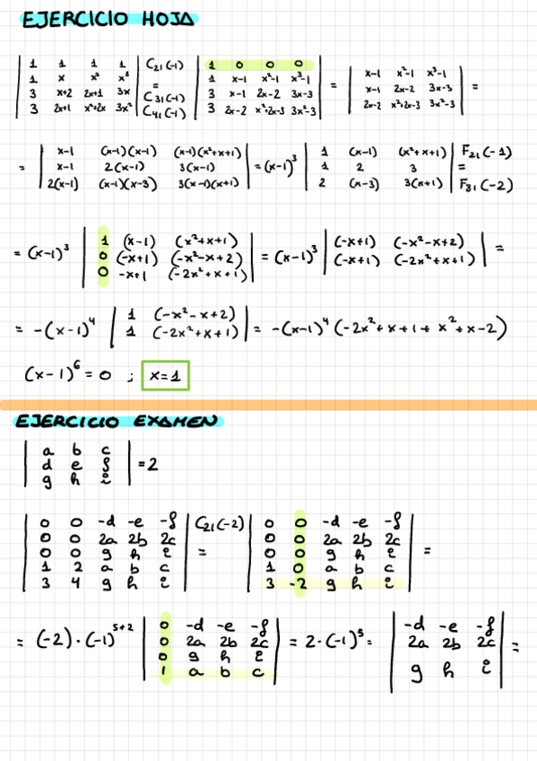 Miniatura del documento determinantes.pdf