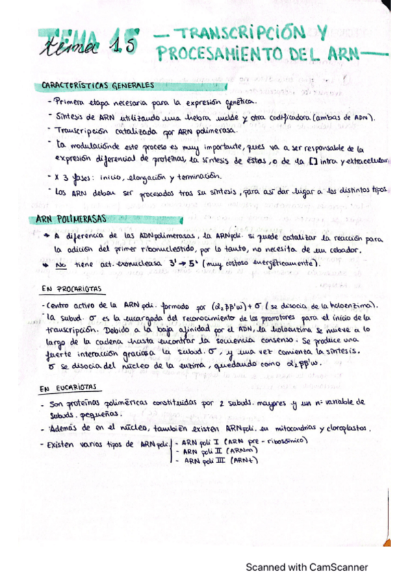 Miniatura del documento Tema-15-BQE.pdf