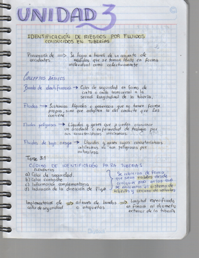 Miniatura del documento Identificacion-riesgos-por-fluidos-en-tuberia.pdf