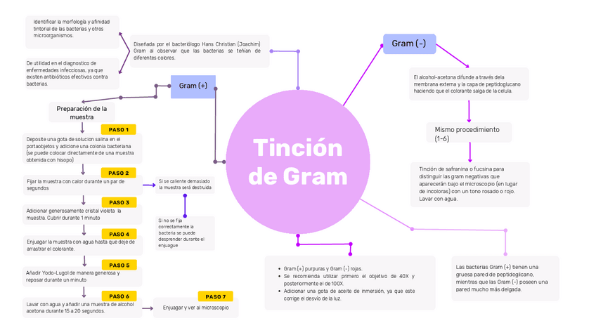 Miniatura del documento Tincion-de-Gram.pdf