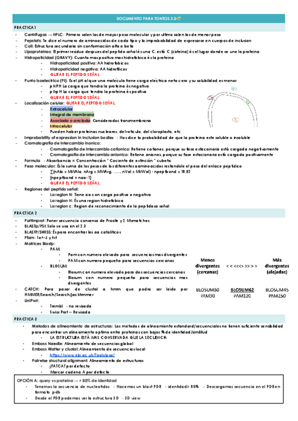 Miniatura del documento DOCUMENTO-PARA-TONTOS-3.0.docx.pdf